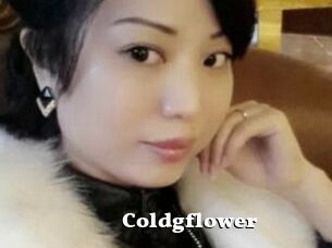 Coldgflower