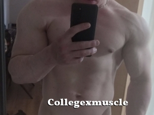 Collegexmuscle