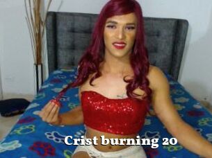 Crist_burning_20