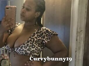 Curvybunny19