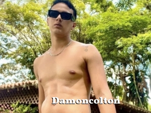 Damoncolton