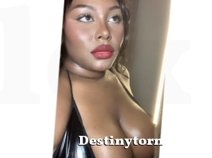 Destinytorn