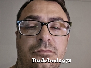 Dudebod2978