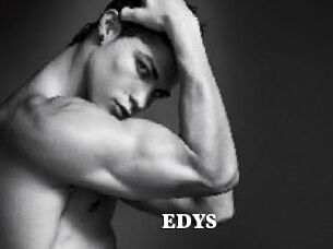 EDYS