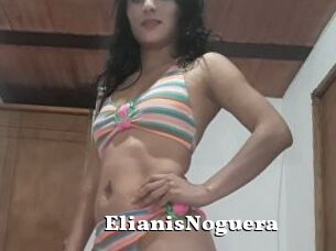 ElianisNoguera