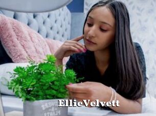 EllieVelvett