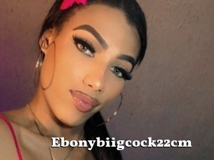 Ebonybiigcock22cm