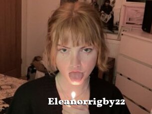 Eleanorrigby22