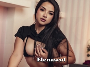 Elenascot