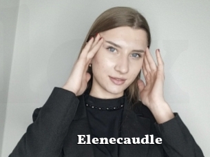 Elenecaudle