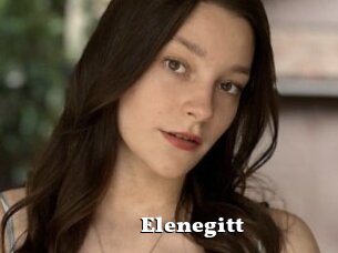 Elenegitt