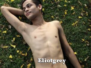 Eliotgrey