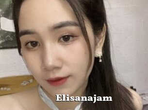 Elisanajam