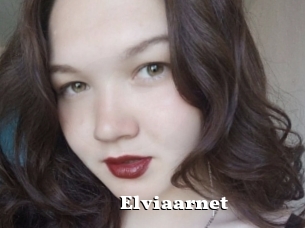 Elviaarnet