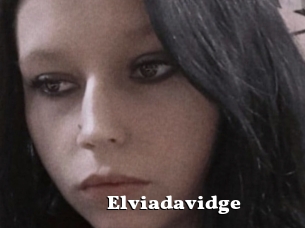 Elviadavidge