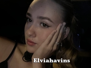 Elviahavins