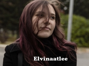 Elvinaatlee