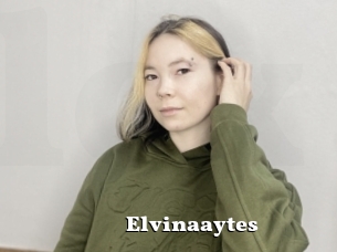 Elvinaaytes