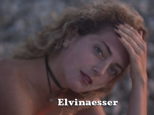 Elvinaesser