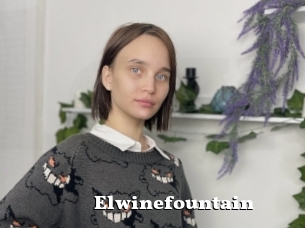 Elwinefountain