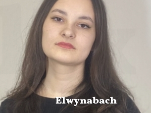 Elwynabach