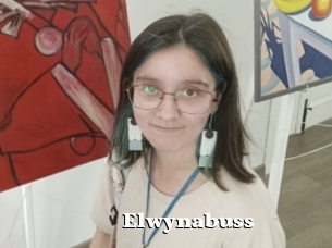 Elwynabuss