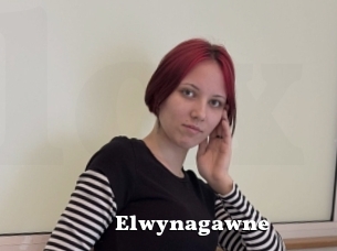 Elwynagawne