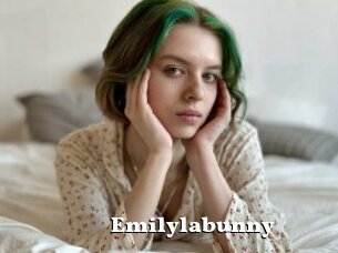 Emilylabunny