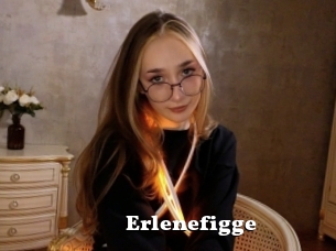 Erlenefigge