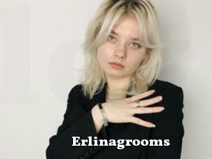 Erlinagrooms