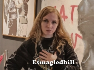 Esmagledhill