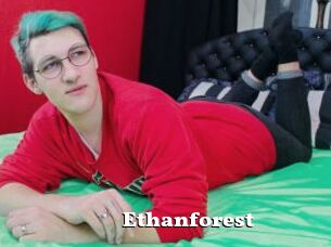 Ethanforest