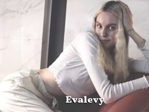 Evalevy