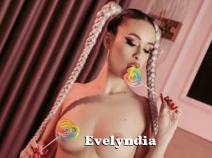 Evelyndia