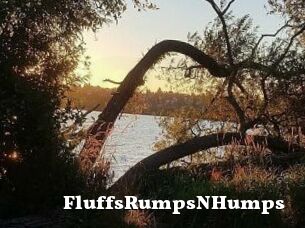 FluffsRumpsNHumps