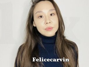 Felicecarvin