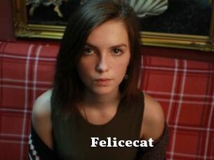 Felicecat