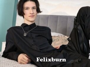 Felixburn