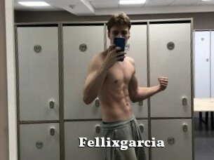 Fellixgarcia