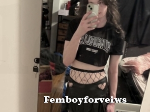 Femboyforveiws