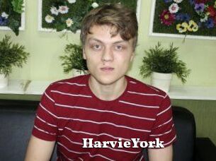 HarvieYork