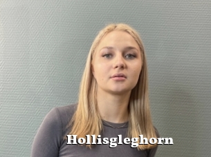 Hollisgleghorn