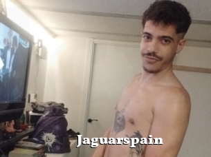 Jaguarspain