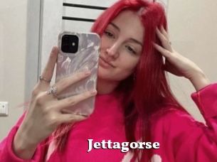 Jettagorse