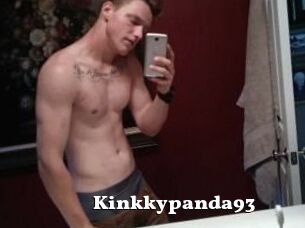 Kinkkypanda93