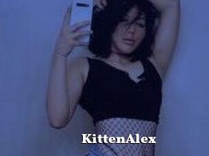 KittenAlex