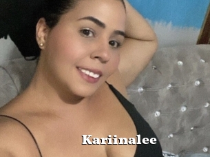 Kariinalee