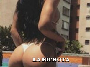 LA_BICHOTA