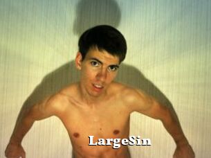 LargeSin