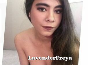 Lavender_Freya